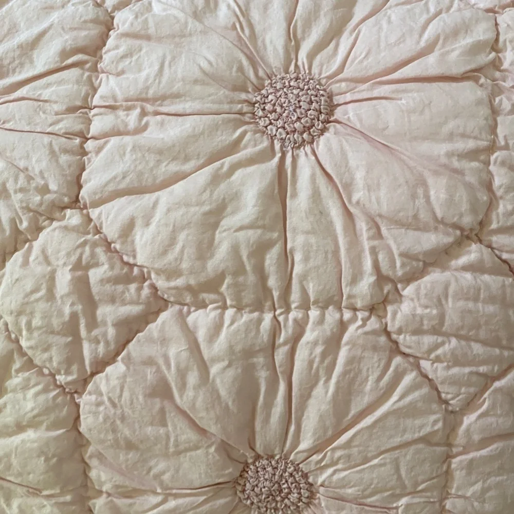Anthropologie Pink Embroidered Standard Sham